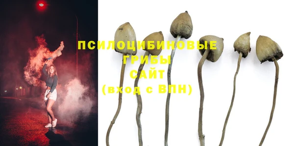 героин Каменка