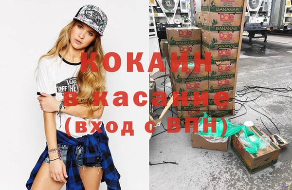 крисы Алзамай